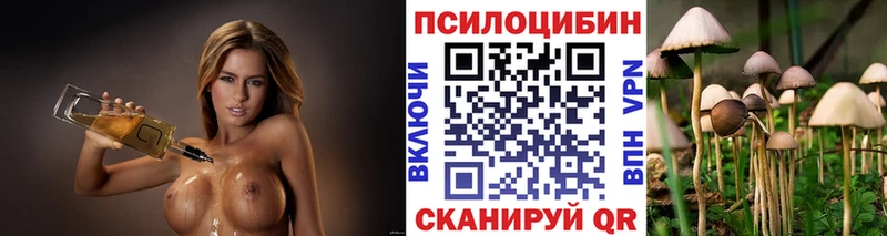 сколько стоит  Томмот  блэк спрут как зайти  Галлюциногенные грибы мухоморы 